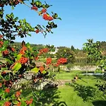 Casa Dos Limões - Paredes De Coura