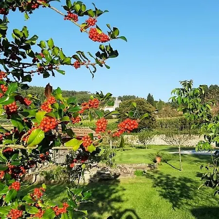 Casa Dos Limoes - Paredes De Coura
