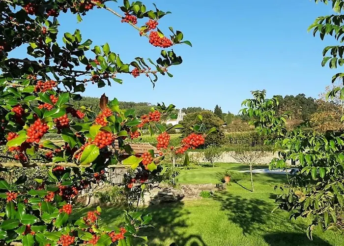 Casa Dos Limoes - Paredes De Coura